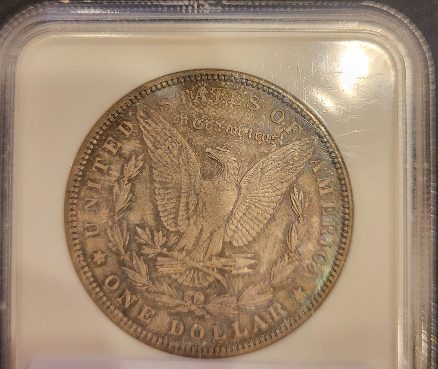 1891 $1 NGC MS 64