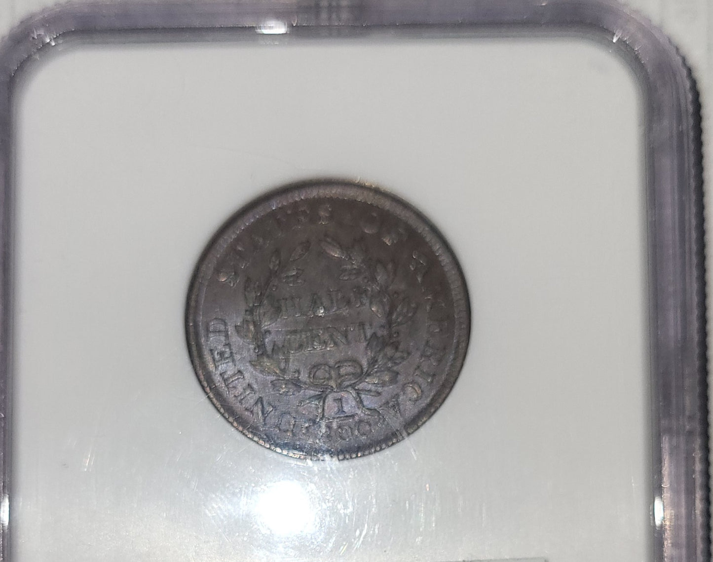 1804 Spiked Chin 1/2c NGC MS 63 BN